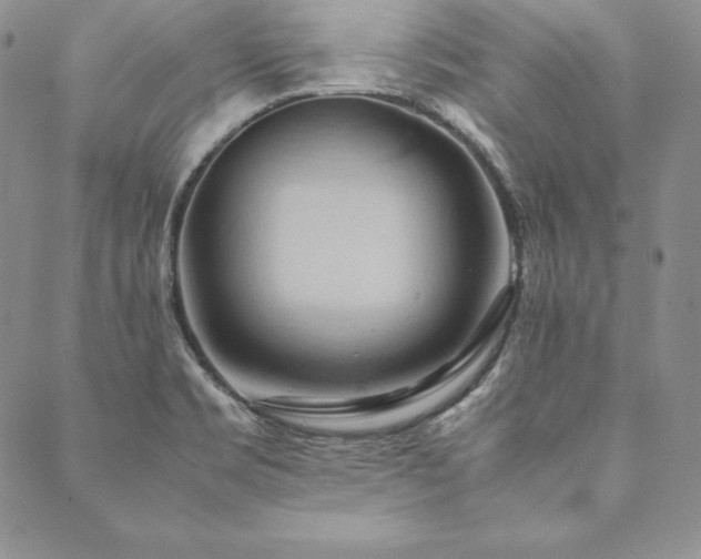X0000090491469200707131315