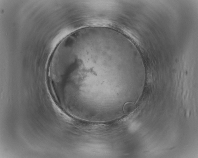 X0000090491471200707131315