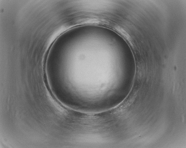 X0000090491475200707131315