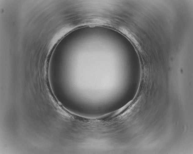 X0000090491477200707131315