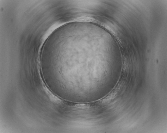 X0000090491478200707131315