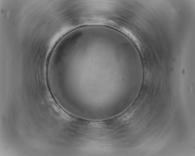 X0000090491480200707131315