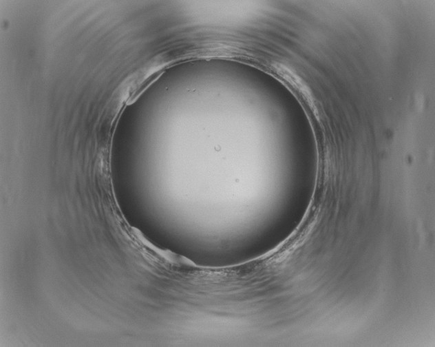 X0000090491481200707131315