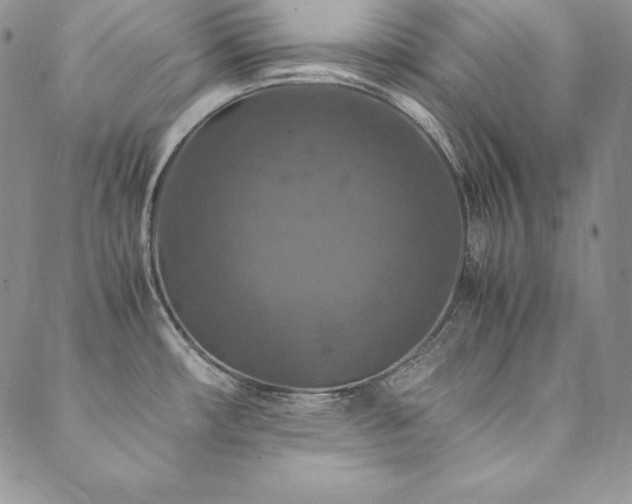 X0000090491482200707131315