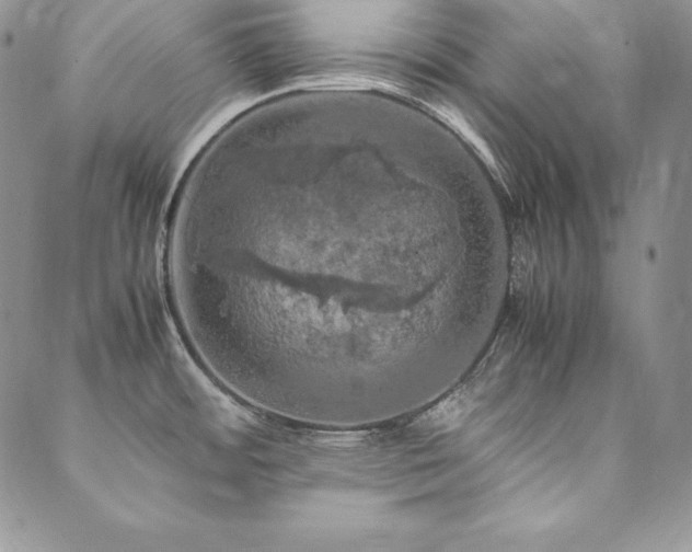 X0000090491484200707131315