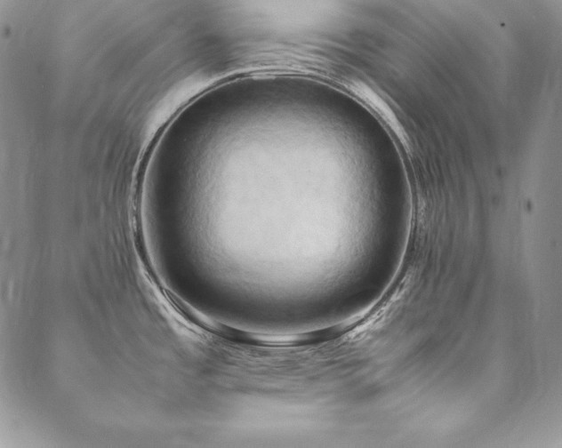 X0000090491485200707131315