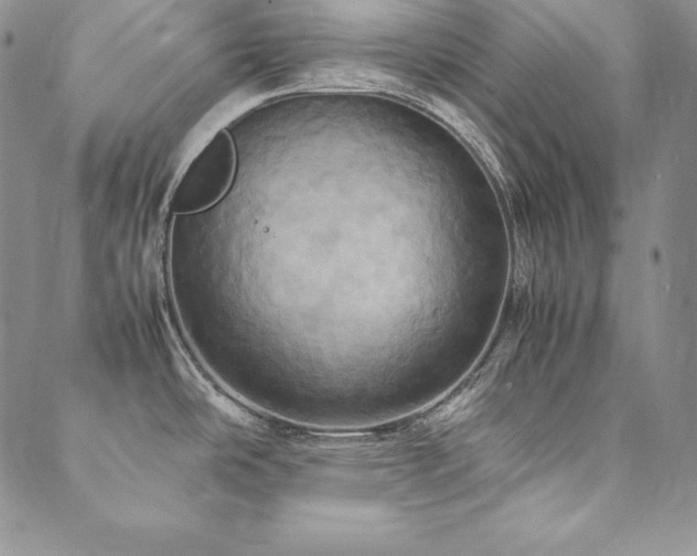 X0000090491486200707131315