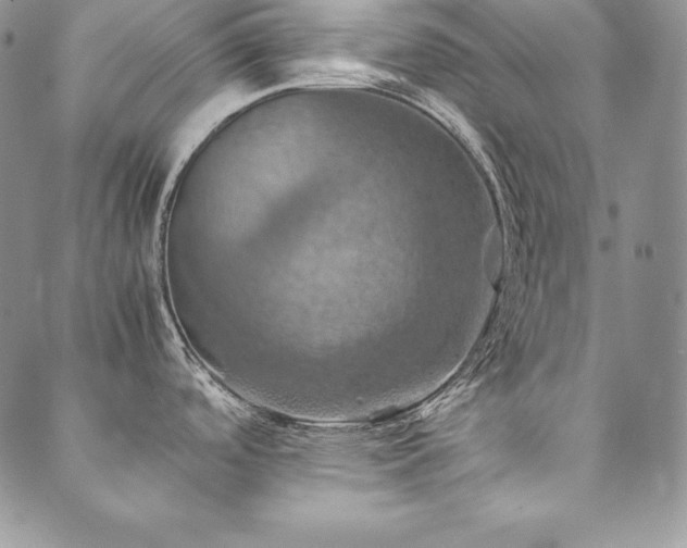 X0000090491488200707131315