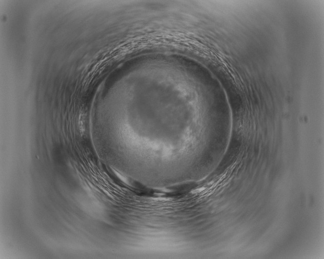 X0000090491490200707131314