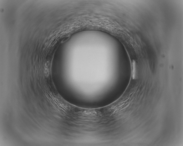 X0000090491491200707131314
