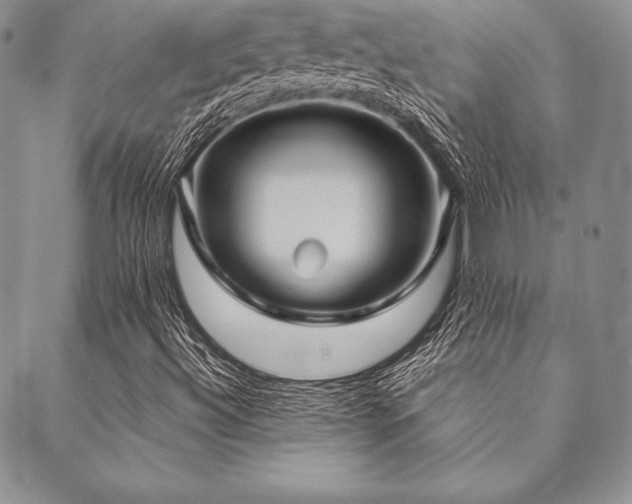 X0000090491492200707131314