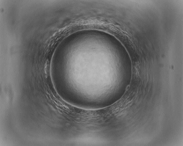 X0000090491493200707131314