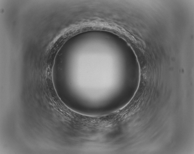 X0000090491495200707131314