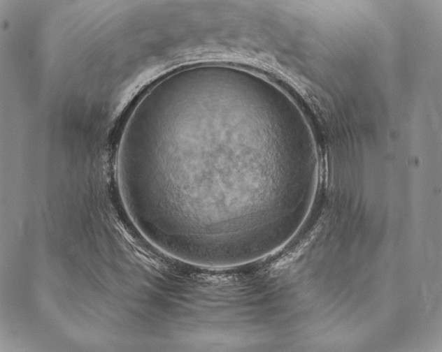 X0000090491501200707131314