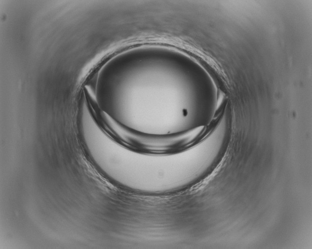 X0000090491502200707131314