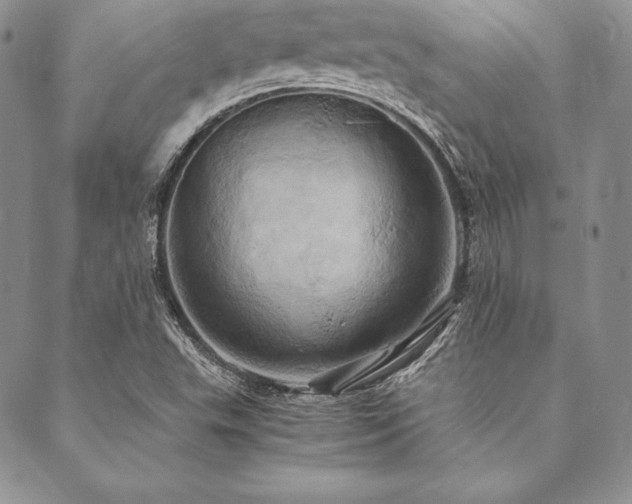 X0000090491503200707131314