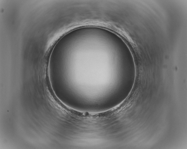 X0000090491504200707131314