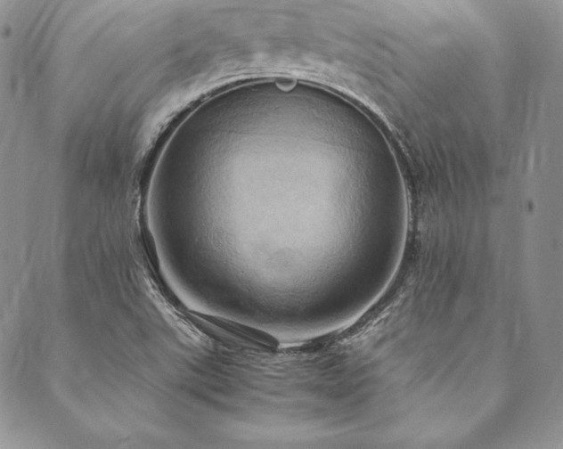 X0000090491507200707131314