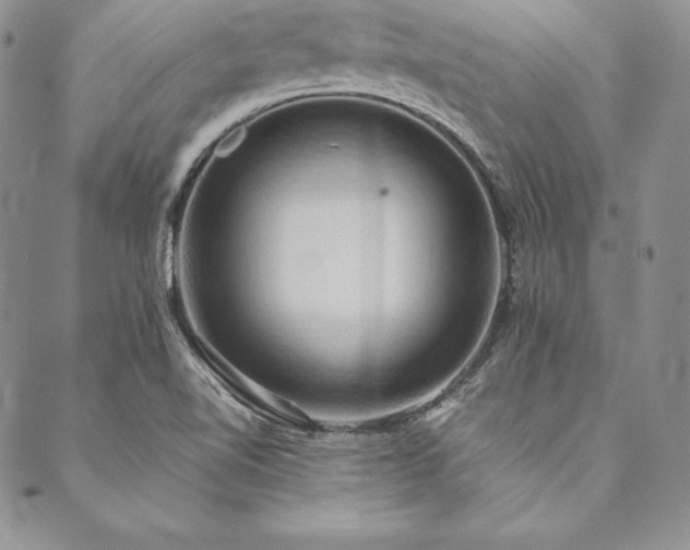 X0000090491510200707131314