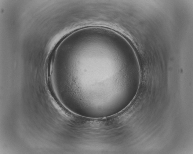 X0000090491511200707131314