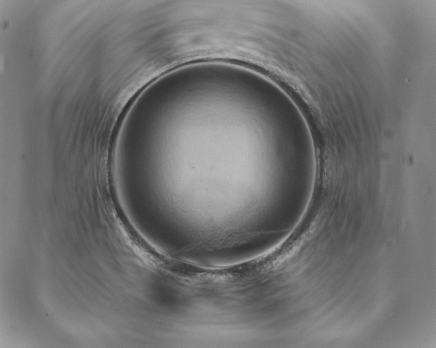 X0000090491513200707131314