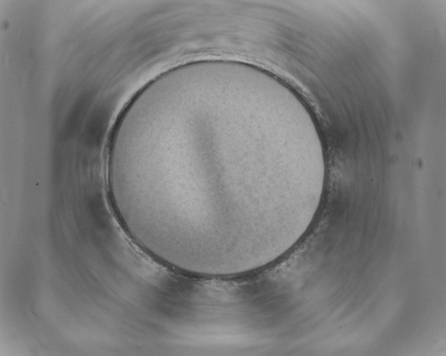 X0000090491514200707131314