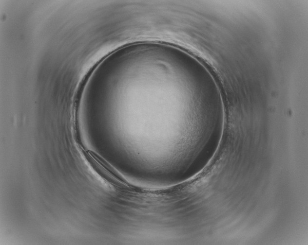 X0000090491517200707131314