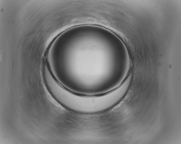 X0000090491518200707131314