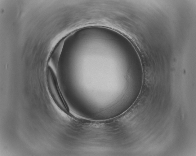X0000090491519200707131314