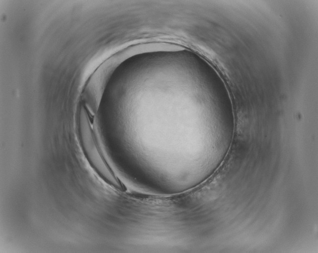 X0000090491520200707131314
