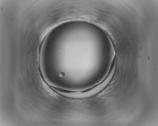 X0000090491524200707131314