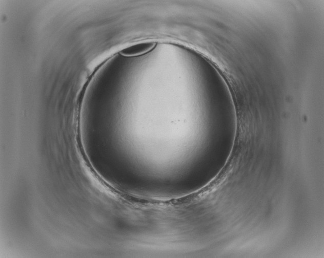 X0000090491526200707131314