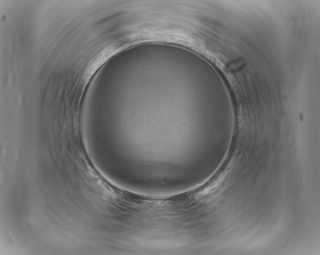 X0000090491529200707131315