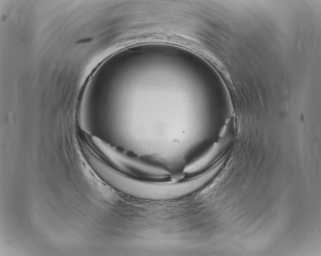 X0000090491530200707131315