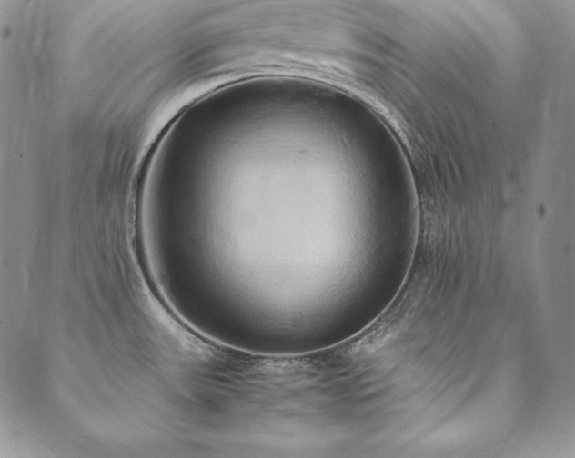 X0000090491531200707131315