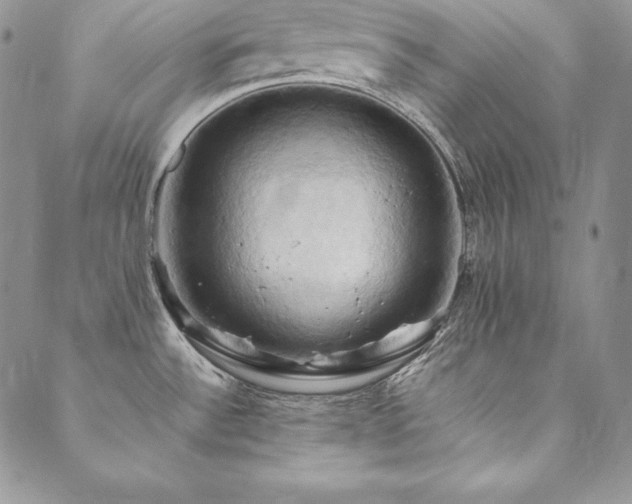 X0000090491532200707131315