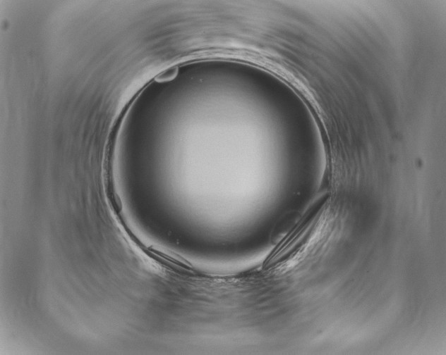 X0000090491533200707131315