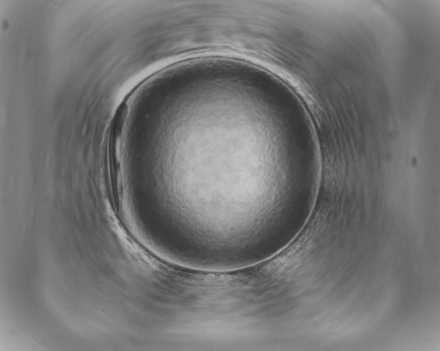 X0000090491534200707131315