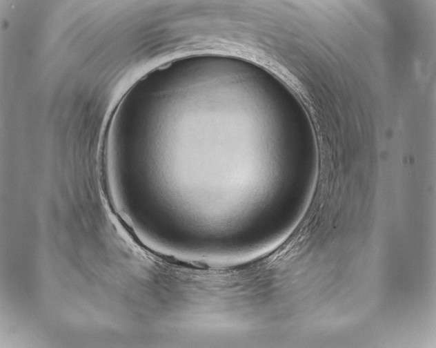 X0000090491536200707131315