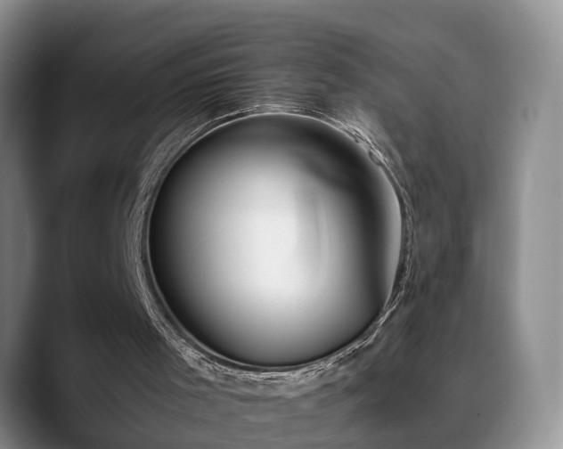 X0000090490001200707201545