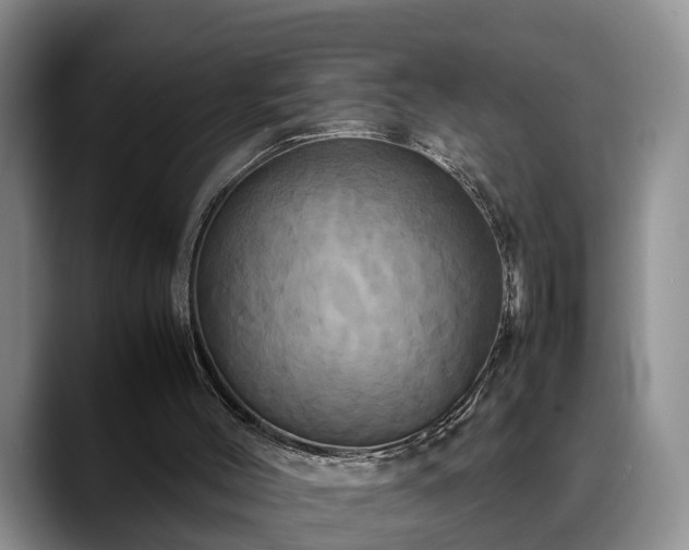 X0000090490004200707201545