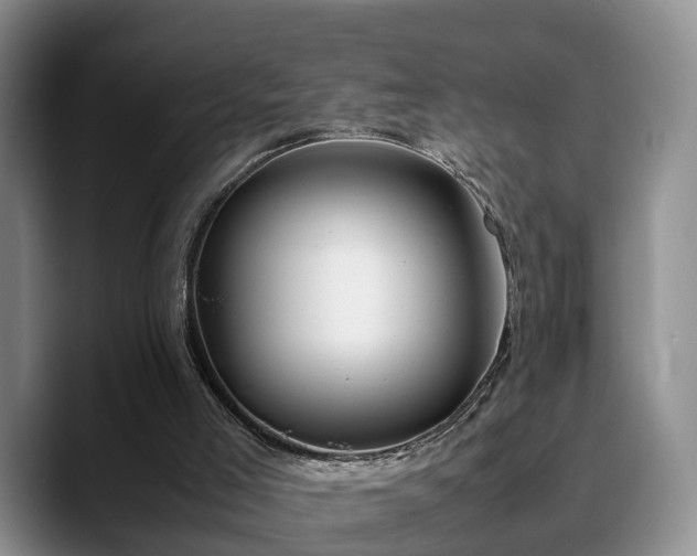 X0000090490005200707201545