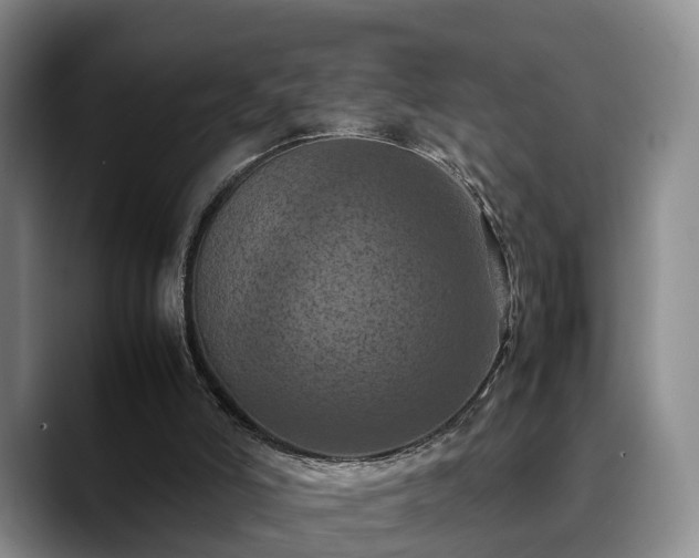 X0000090490006200707201545