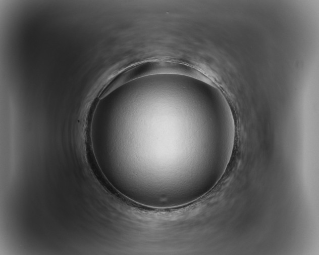 X0000090490007200707201545