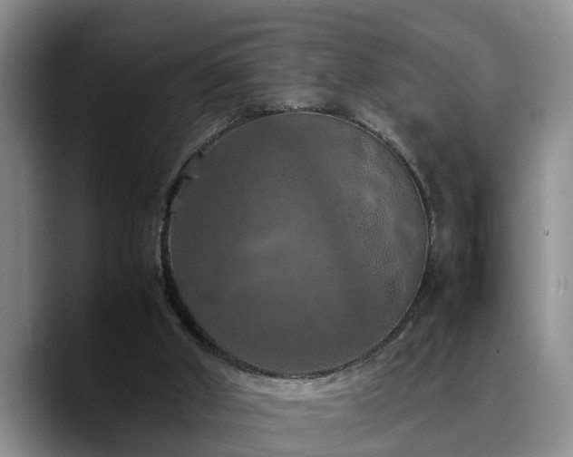 X0000090490010200707201545