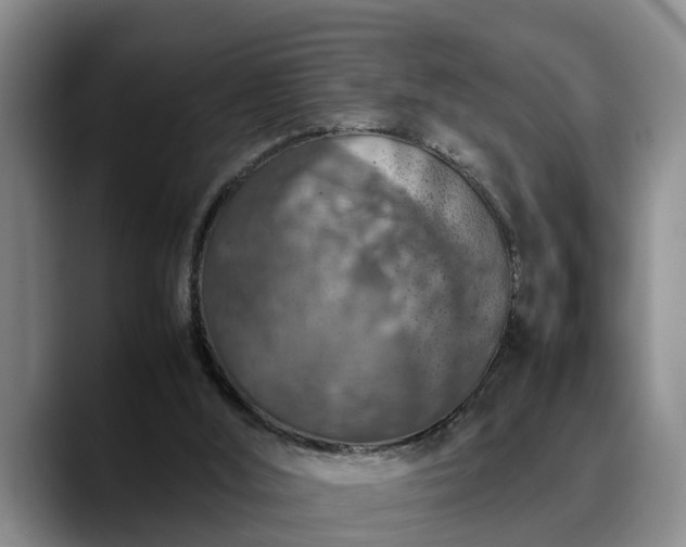 X0000090490012200707201545