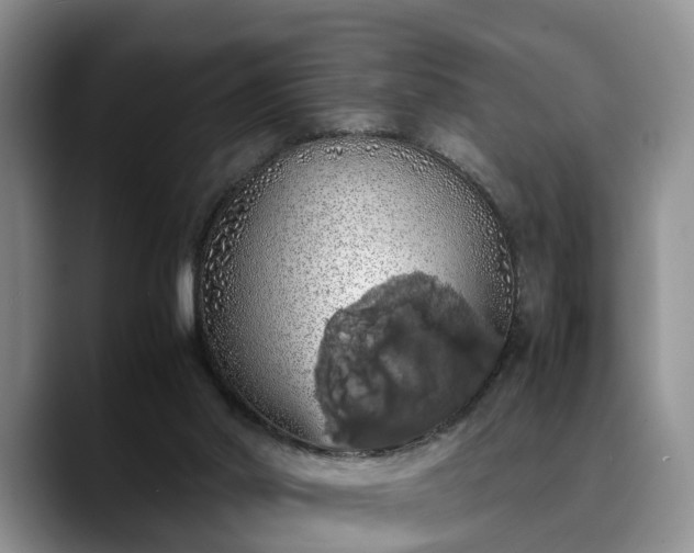 X0000090490014200707201545