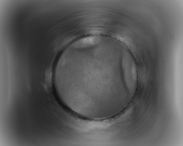 X0000090490016200707201545