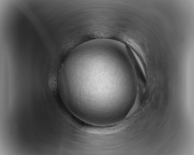 X0000090490017200707201545
