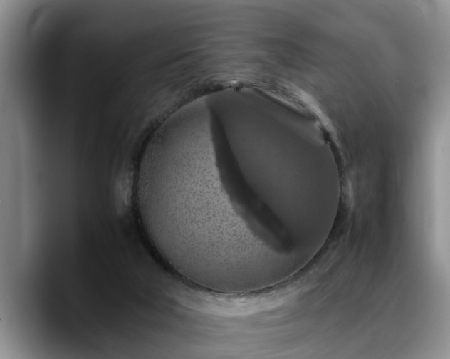 X0000090490018200707201545